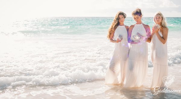 Home 26 banner 1 with logo